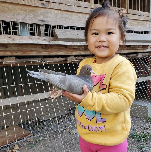 Meet your Posher, John - Picture 1 of 1